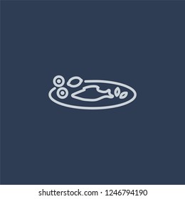 Cantonese Fish icon. Cantonese Fish linear design concept from Chinese Food collection. Simple element vector illustration on dark blue background.