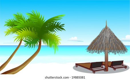 Canvas chairs on the beach. Tropical beach with the white sand and palms. Vector illustration. 