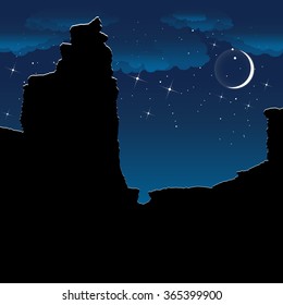 Canyon at night. Colorful vector background.