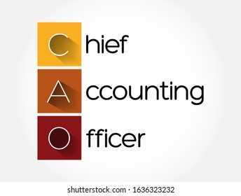 CAO - Chief Accounting Officer acronym, business concept background