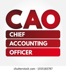 CAO Chief Accounting Officer - highest financial position in the business and manages things like budgets, forecasts, credit, taxes, and insurance, acronym text concept background