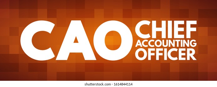 CAO Chief Accounting Officer - highest financial position in the business and manages things like budgets, forecasts, credit, taxes, and insurance, acronym text concept background