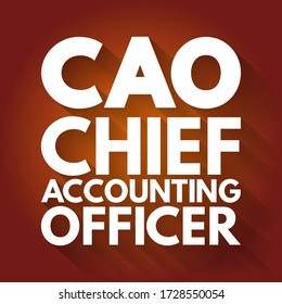 CAO Chief Accounting Officer - highest financial position in the business and manages things like budgets, forecasts, credit, taxes, and insurance, acronym text concept background