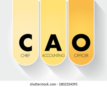 CAO Chief Accounting Officer - highest financial position in the business and manages things like budgets, forecasts, credit, taxes, and insurance, acronym text concept background