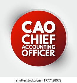 CAO Chief Accounting Officer - highest financial position in the business and manages things like budgets, forecasts, credit, taxes, and insurance, acronym text concept background