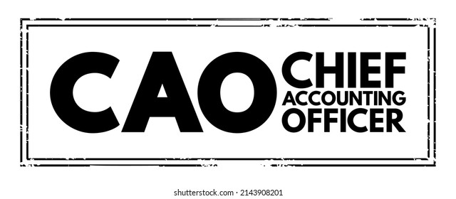 CAO Chief Accounting Officer - highest financial position in the business and manages things like budgets, forecasts, credit, taxes, and insurance, acronym text stamp