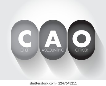 CAO Chief Accounting Officer - highest financial position in the business and manages things like budgets, forecasts, credit, taxes, and insurance, acronym text concept background