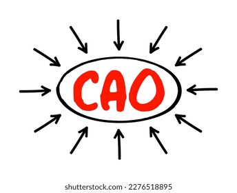 CAO Chief Accounting Officer - highest financial position in the business and manages things like budgets, forecasts, credit, taxes, and insurance, acronym text concept with arrows