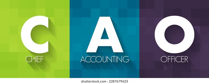 CAO Chief Accounting Officer - highest financial position in the business and manages things like budgets, forecasts, credit, taxes, and insurance, acronym text concept background