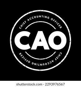 CAO Chief Accounting Officer - highest financial position in the business and manages things like budgets, forecasts, credit, taxes, and insurance, acronym text stamp