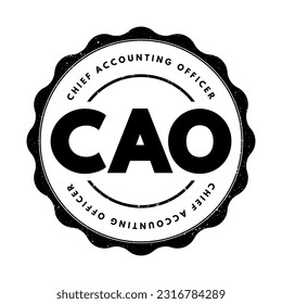 CAO Chief Accounting Officer - highest financial position in the business and manages things like budgets, forecasts, credit, taxes, and insurance, acronym text stamp