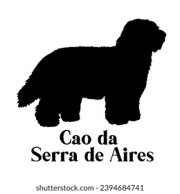 Cao da Serra de Aires Dog silhouette dog breeds logo dog monogram logo dog face vector