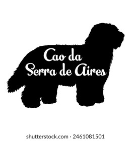 Cao da Serra de Aires Dog silhouette dog breeds logo dog monogram vector