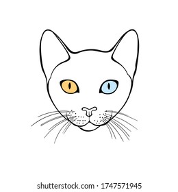 Cao mani, cat face.  Hand-drawn vector illustration on white. Isolated element for design.