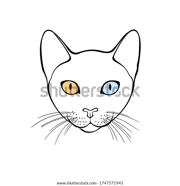 Cao Mani Visage De Chat Illustration Image Vectorielle De Stock Libre De Droits