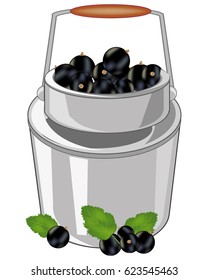 Capacity of the full ripe berry currant on white background