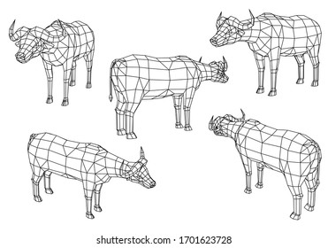 Cape buffalo polygonal lines illustration. Vector cape buffalo on the white background