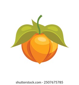 
Cabo de grosella Ilustración vectorial plana de frutas sobre fondo blanco