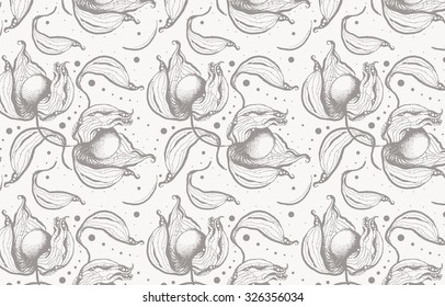 Cape gooseberry pattern. Vector art.