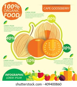 Cape gooseberry (physalis). Infographic template. vector illustration.