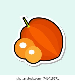 Cape Gooseberry Sticker On Blue Background Colorful Fruit Icon Vector Illustration