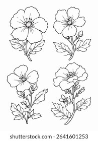 Cape leadwort flower delicate 2D line art sketch.eps
