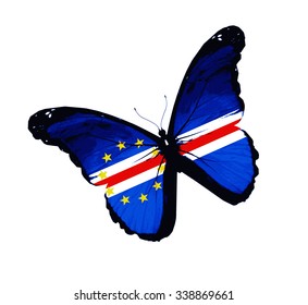 Cape Verde flag butterfly - vector