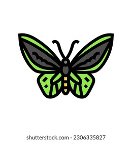 cape york birdwing insect color icon vector. cape york birdwing insect sign. isolated symbol illustration