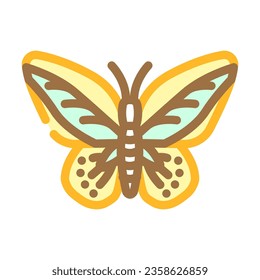 cape york birdwing insect color icon vector. cape york birdwing insect sign. isolated symbol illustration