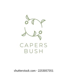 caper bush plant leaves fruit green circle line logo design vector icon illustration template