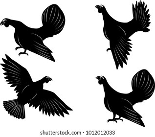 capercaillie birds vector set, isolated on white vector.