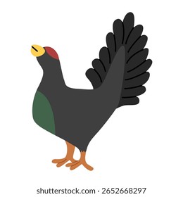 Capercaillie - handgezeichnete Vektorgrafik.