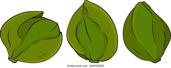 Las alcaparras colorean el icono plano. Verduras verdes maduras. Vegetariano delicioso. Comida ecológica ecológica.