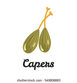 Capers color flat icon for web and mobile design