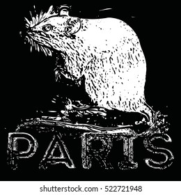 The capital of France is Paris, with the image of rats, grunge, poster, black background white silhouette