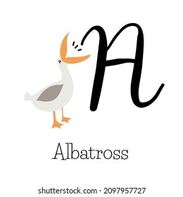 Capital letter A for Albatross with funny loud bird, childish alphabet with birds name