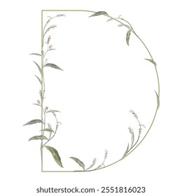 Capital letter D with floral motifs. Botanical alphabet with herbs and wildflowers. Blooming green branches of Polygonum plant. Knotweed or Smartweed flower. Isolated vector illustration.