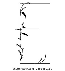 Capital letter E with floral  motifs. Botanical alphabet with herbs and wildflowers. Blooming branches of Polygonum plant. Knotweed or Smartweed flower. Black silhouette on white background.