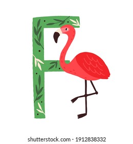 Capital letter F of childish English alphabet with funny flamingo. Scandi kids font with cute bird for children in kindergarten. Hand-drawn flat vector illustration isolated on white background.