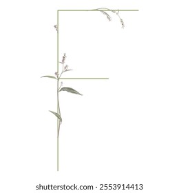 Capital letter F with floral motifs. Botanical alphabet with herbs and wildflowers. Blooming green branches of Polygonum plant. Knotweed or Smartweed flower. Isolated vector illustration.