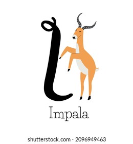 Capital letter I for Impala, with Impala antelope standing on to legs, childish alphabet with the names of animals, hand drawn vector illustration