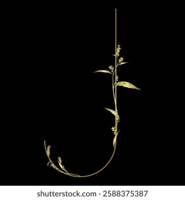 Capital letter J with floral  motifs. Botanical alphabet with herbs and wildflowers. Blooming branches of Polygonum plant. Knotweed or Smartweed flower. Golden glossy silhouette on black background.