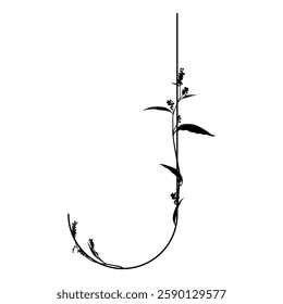 Capital letter J with floral  motifs. Botanical alphabet with herbs and wildflowers. Blooming branches of Polygonum plant. Knotweed or Smartweed flower. Black silhouette on white background.