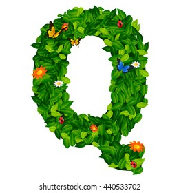 capital letter Q from leaf on white background