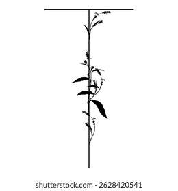 Capital letter T with floral  motifs. Botanical alphabet with herbs and wildflowers. Blooming branches of Polygonum plant. Knotweed or Smartweed flower. Black silhouette on white background.