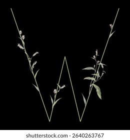 Capital letter W with floral motifs. Botanical alphabet with herbs and wildflowers. Blooming green branches of Polygonum plant. Knotweed or Smartweed flower. On black background.