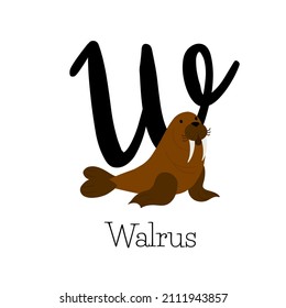 Capital letter W for Walrus, with chubby brown walrus, childish alphabet