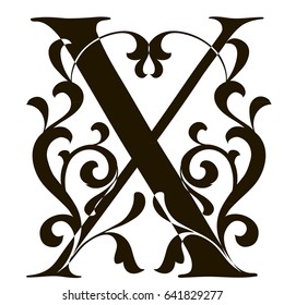 Capital letter X. Large letter. illuminated letter