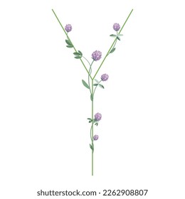 Capital letter Y with floral motifs. Decorative font with blooming branches of red clover flower. Isolated vector illustration.