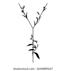 Capital letter Y with floral motifs. Botanical alphabet with herbs and wildflowers. Blooming branches of Polygonum plant. Knotweed or Smartweed flower. Black silhouette on white background.